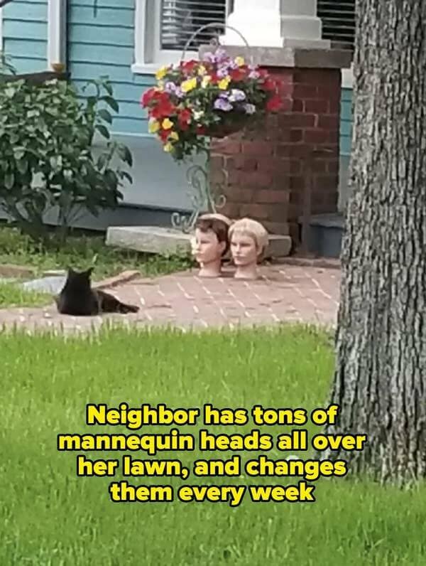 funny neighbor memes, nightmare neighbors, hilarious neighbor memes, comedic neighbor memes, amusing neighbor memes, neighbor problems, neighbor issues, neighbor troubles, neighbor conflicts, bad neighbors, annoying neighbors, troublesome neighbors, worst neighbors, neighborhood memes, community humor, local jokes