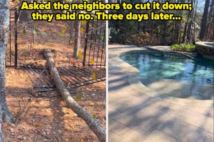 funny neighbor memes, nightmare neighbors, hilarious neighbor memes, comedic neighbor memes, amusing neighbor memes, neighbor problems, neighbor issues, neighbor troubles, neighbor conflicts, bad neighbors, annoying neighbors, troublesome neighbors, worst neighbors, neighborhood memes, community humor, local jokes