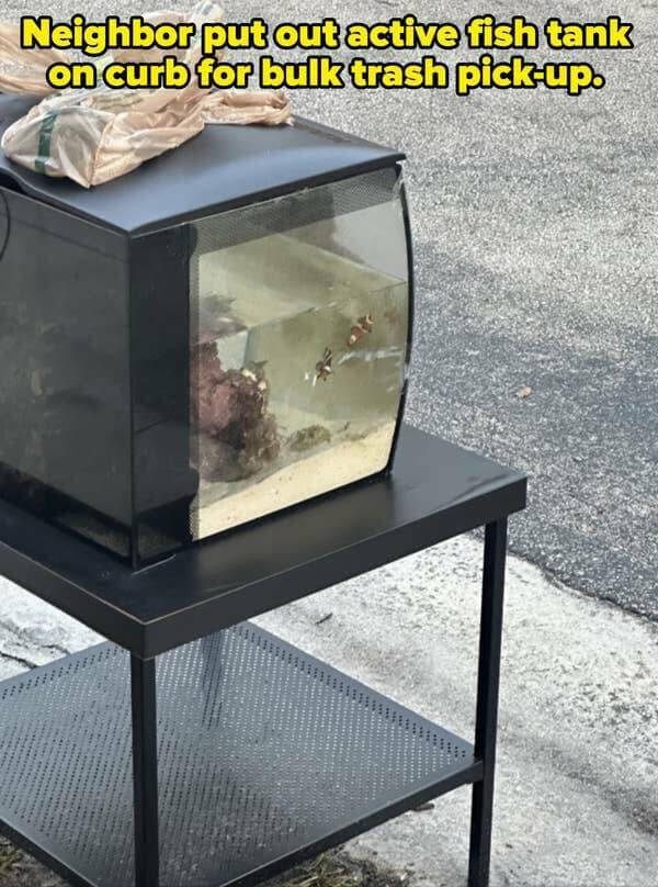 funny neighbor memes, nightmare neighbors, hilarious neighbor memes, comedic neighbor memes, amusing neighbor memes, neighbor problems, neighbor issues, neighbor troubles, neighbor conflicts, bad neighbors, annoying neighbors, troublesome neighbors, worst neighbors, neighborhood memes, community humor, local jokes