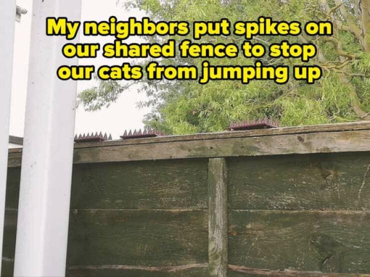 funny neighbor memes, nightmare neighbors, hilarious neighbor memes, comedic neighbor memes, amusing neighbor memes, neighbor problems, neighbor issues, neighbor troubles, neighbor conflicts, bad neighbors, annoying neighbors, troublesome neighbors, worst neighbors, neighborhood memes, community humor, local jokes