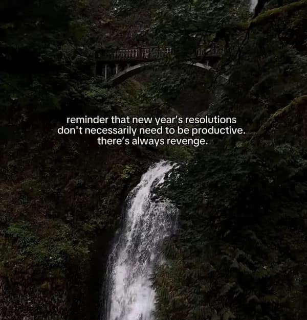 reminder that new year's resolutions don't necessarily need to be productive. there's always revenge.