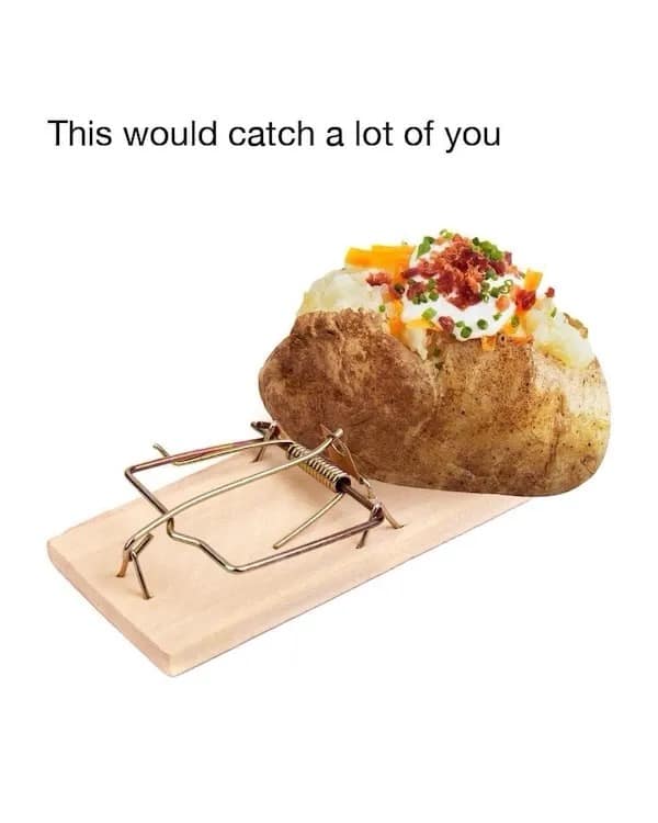 funny pics, funny memes, funny pictures