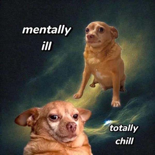 funny pics, funny memes, funny pictures