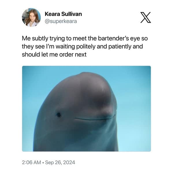 Me subtly trying to meet the bartender's eye so they see I'm waiting politely and patiently and should let me order next