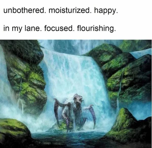 funny pics, funny memes, funny pictures