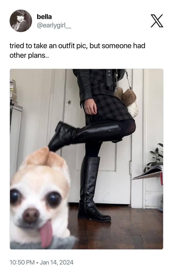 tried to take an outfit pic, but someone had other plans..