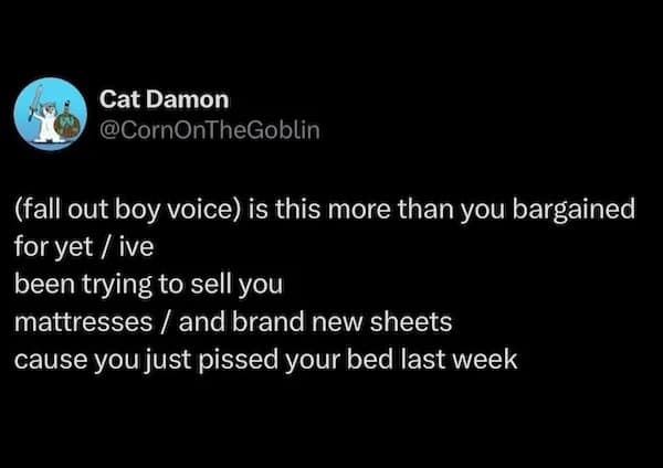 (fall out boy voice) is this more than you bargained for yet / ive been trying to sell you mattresses / and brand new sheets cause you just pissed your bed last week