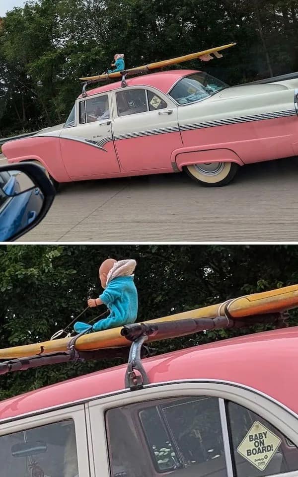 funny pics, funny memes, funny pictures