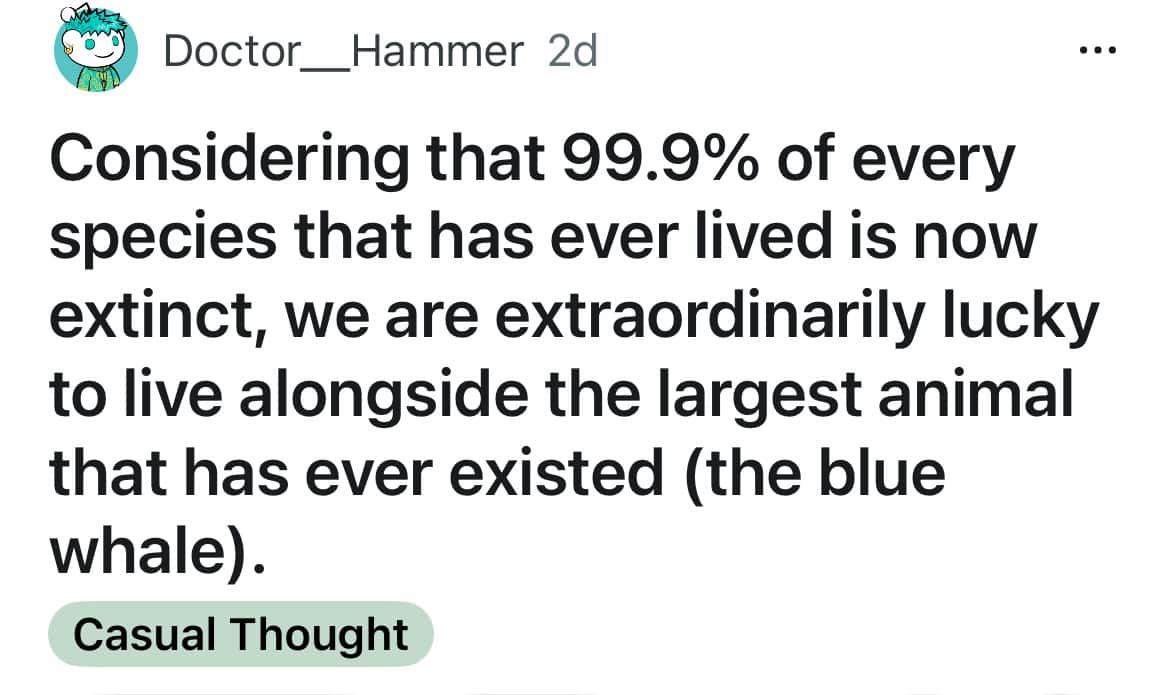 funny shower thoughts, amusing shower musings, quirky bathroom ponderings, random shower thoughts, spontaneous washing insights, unplanned tub reflections, accidental bath revelations, weird shower thoughts, peculiar cleansing notions, odd soapy contemplations, strange bathing epiphanies, deep shower thoughts