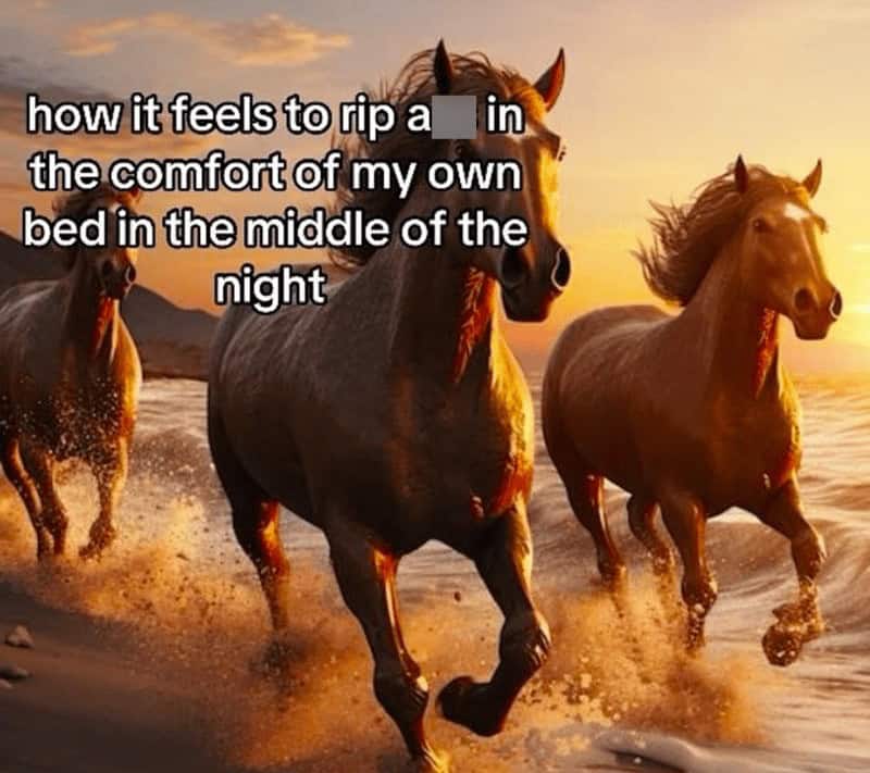 funny tiktok, hilarious TikTok, comedic TikTok, amusing TikTok, TikTok humor, witty TikTok, TikTok comedy, humorous TikTok content, trending TikTok, popular TikTok, hit TikTok