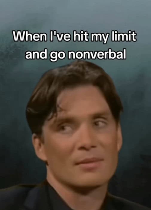 funny tiktok, hilarious TikTok, comedic TikTok, amusing TikTok, TikTok humor, witty TikTok, TikTok comedy, humorous TikTok content, trending TikTok, popular TikTok, hit TikTok