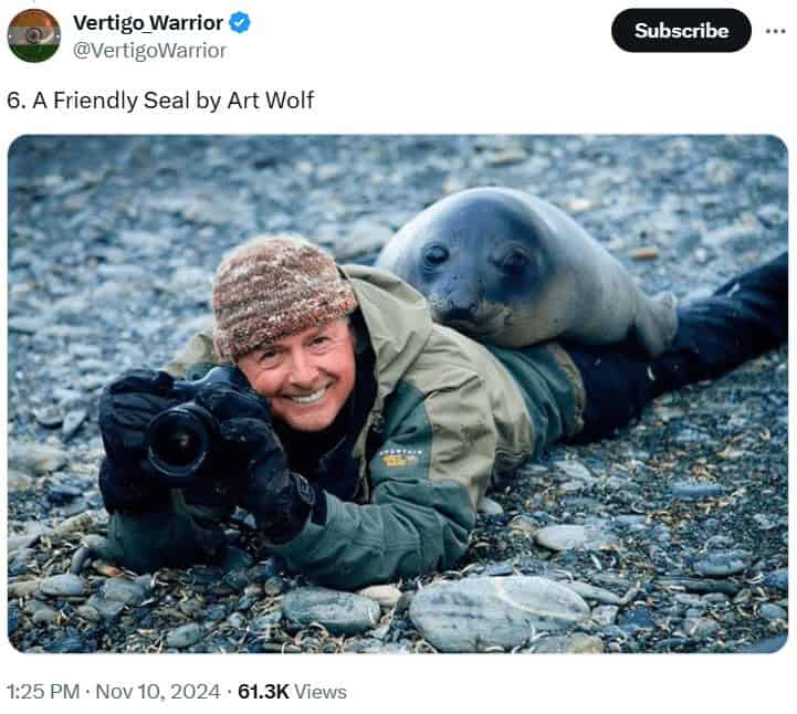 funny wildlife photos, funny wildlife photography, comedic animal images, hilarious fauna shots, wildlife humor pics, wildlife photography, nature camera skills, animal photo capturing, outdoor shoot artistry, wildlife jokes, animal mischief humor, nature-based quips, zoological gags