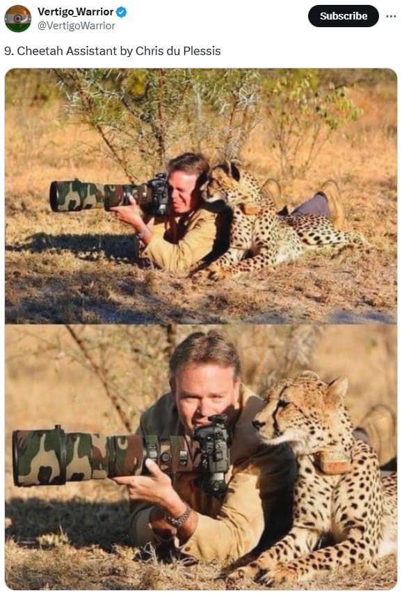 funny wildlife photos, funny wildlife photography, comedic animal images, hilarious fauna shots, wildlife humor pics, wildlife photography, nature camera skills, animal photo capturing, outdoor shoot artistry, wildlife jokes, animal mischief humor, nature-based quips, zoological gags