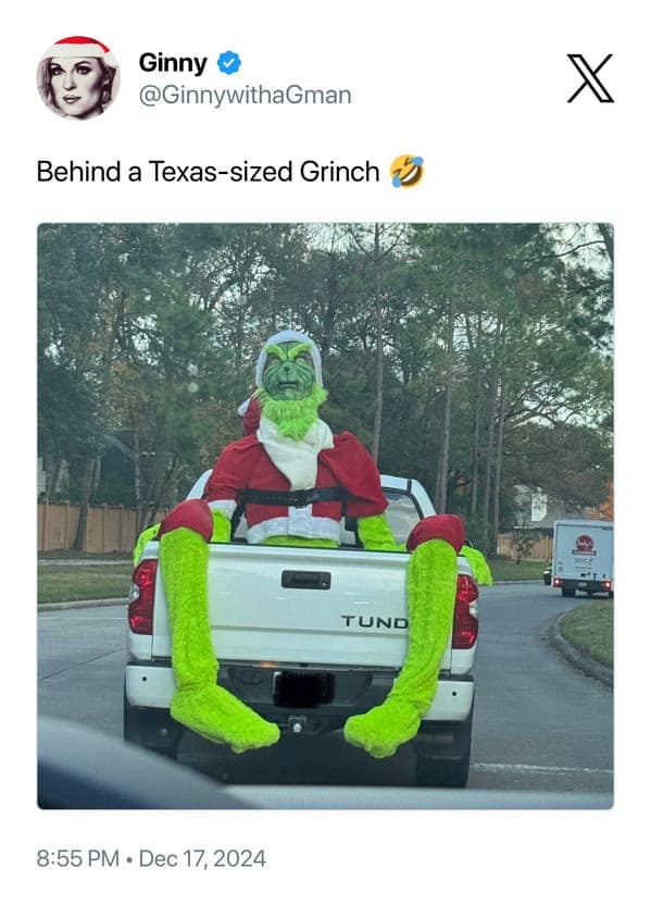 grinch meme, grinch memes, grinch tweets, grinch holiday memes: holiday-themed grinch pics, yuletide grinch jokes, celebratory grinch silliness