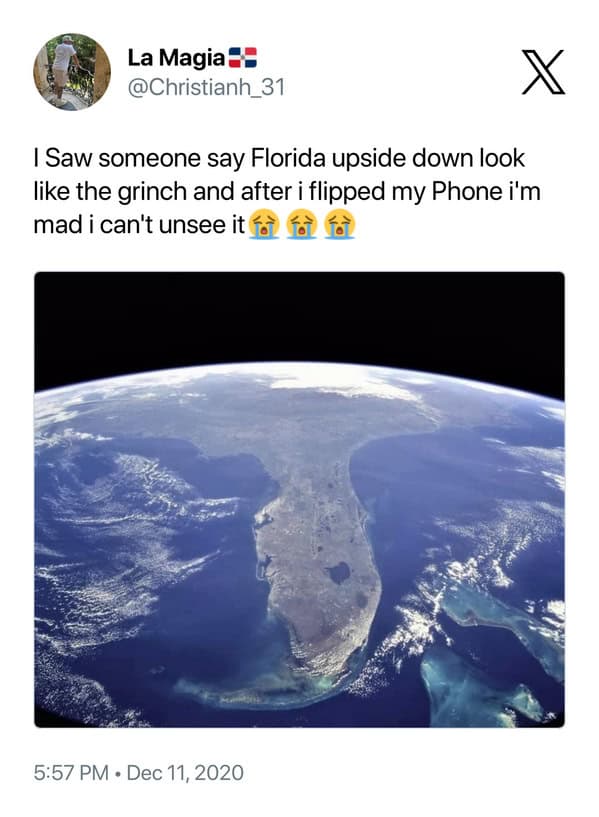grinch meme, grinch memes, grinch tweets, grinch holiday memes: holiday-themed grinch pics, yuletide grinch jokes, celebratory grinch silliness