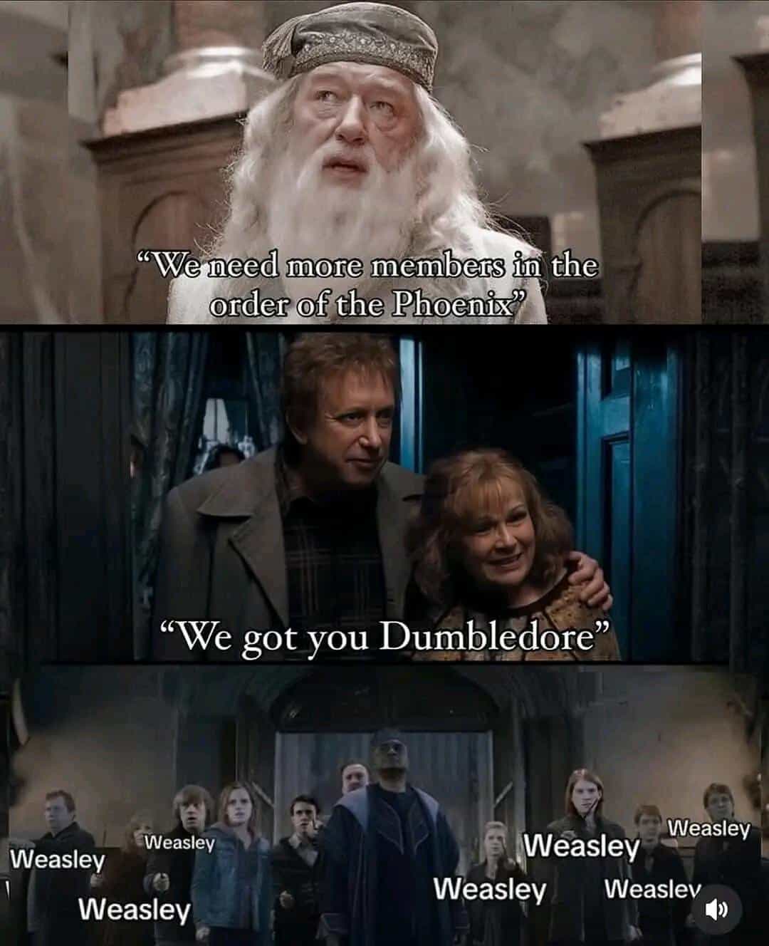 harry potter memes, hogwarts memes, Harry Potter meme collection, Potterverse memes, magical wizard memes, Hogwarts humor, Hogwarts funny images, Hogwarts witty visuals wizarding world memes, enchanted realm memes, fantasy wizard memes, mystical series images, Harry Potter funny memes, Potter-themed funny pics, magical laughter images, wizard humor posts