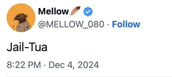 hawk tuah coin memes, hawk tuah meme coin memes, hawk tuah girl memes, hawk tuah girl meme coin memes, hawk tuah memes, $hawk memes, Hailey welch memes