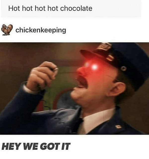 hot chocolate memes, cocoa memes, chocolate drink memes, festive hot cocoa humor, cozy memes, warm memes, snug humor, comforting image jokes