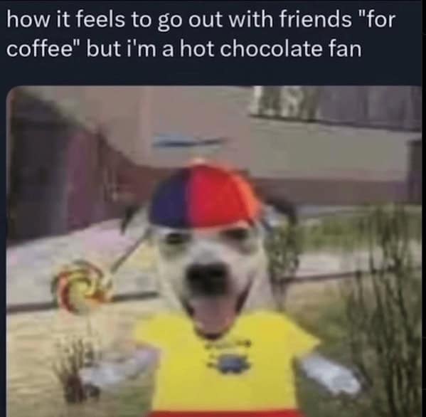 hot chocolate memes, cocoa memes, chocolate drink memes, festive hot cocoa humor, cozy memes, warm memes, snug humor, comforting image jokes