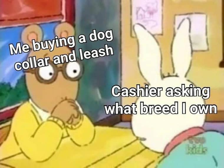 Me buying a dog collar and leash Cashier asking what breed I own