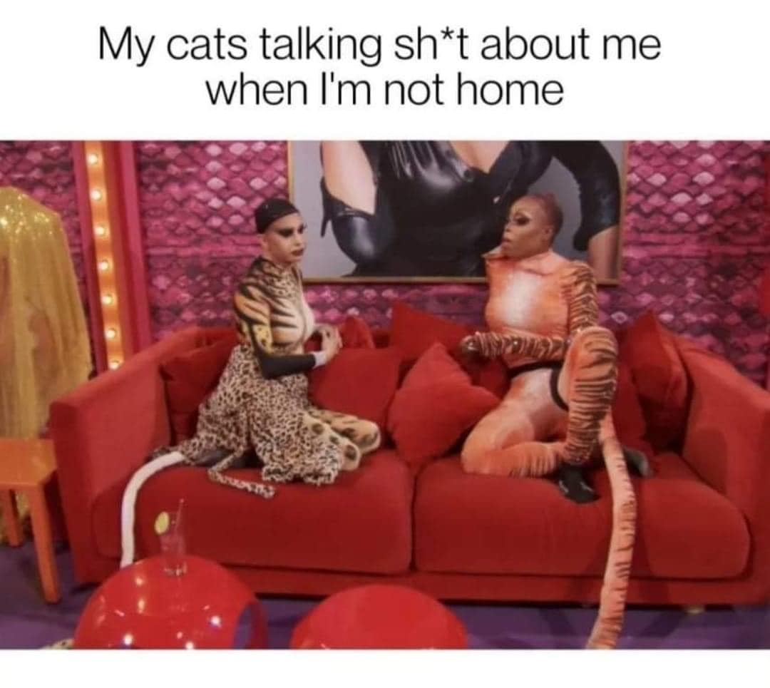 meme dump, funny memes, hilarious memes, meme collection, meme compilation, meme roundup, humorous memes, amusing memes, comical memes, Best memes, top memes, greatest memes, popular memes, laugh-out-loud memes, side-splitting memes, uproarious memes