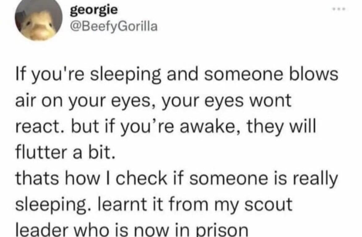 meme dump, funny meme, hilarious memes, meme roundup, meme assortment, meme compilation, witty images, amusing online jokes, clever digital humor, uproarious visuals, side-splitting irony, laugh-triggering pics, best meme collection, curated humor batch, top-tier image wit, premium comic set