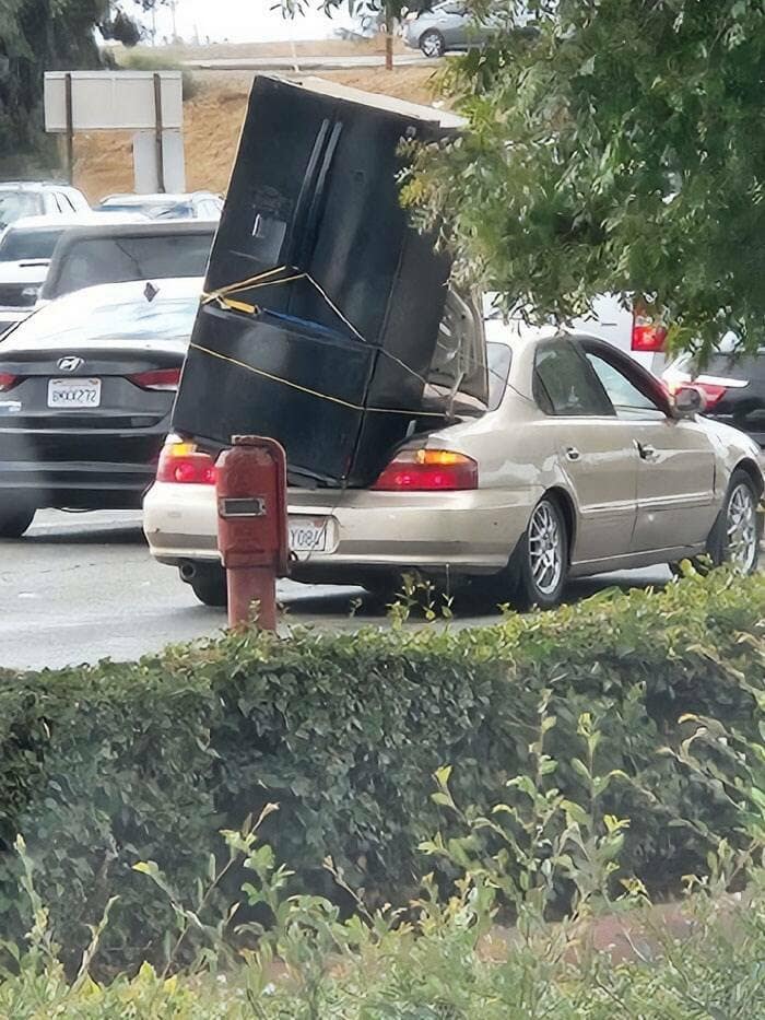 meme dump, funny memes, hilarious memes, meme collection, meme compilation, meme roundup, humorous memes, amusing memes, comical memes, Best memes, top memes, greatest memes, popular memes, laugh-out-loud memes, side-splitting memes, uproarious memes