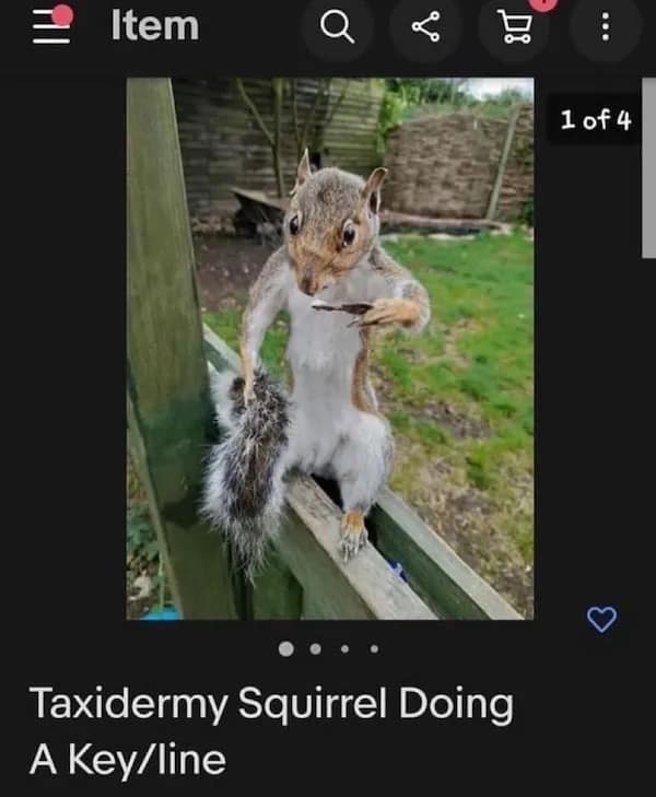 meme dump, funny meme, hilarious memes, meme roundup, meme assortment, meme compilation, witty images, amusing online jokes, clever digital humor, uproarious visuals, side-splitting irony, laugh-triggering pics, best meme collection, curated humor batch, top-tier image wit, premium comic set