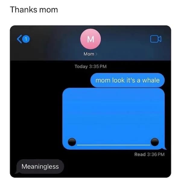 Thanks mom M Mom > Today 3:35 PM mom look it's a whale Read 3:36 PM Meaningless