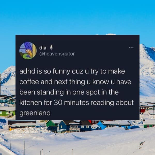 dia @heavensgator adhd is so funny cuz u try to make coffee and next thing u know u have been standing in one spot in the kitchen for 30 minutes reading about greenland