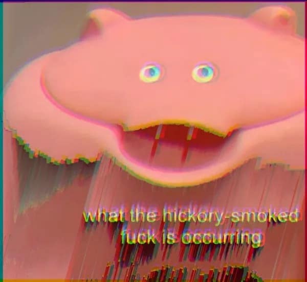 what the hickory-smoked fuck is occurring