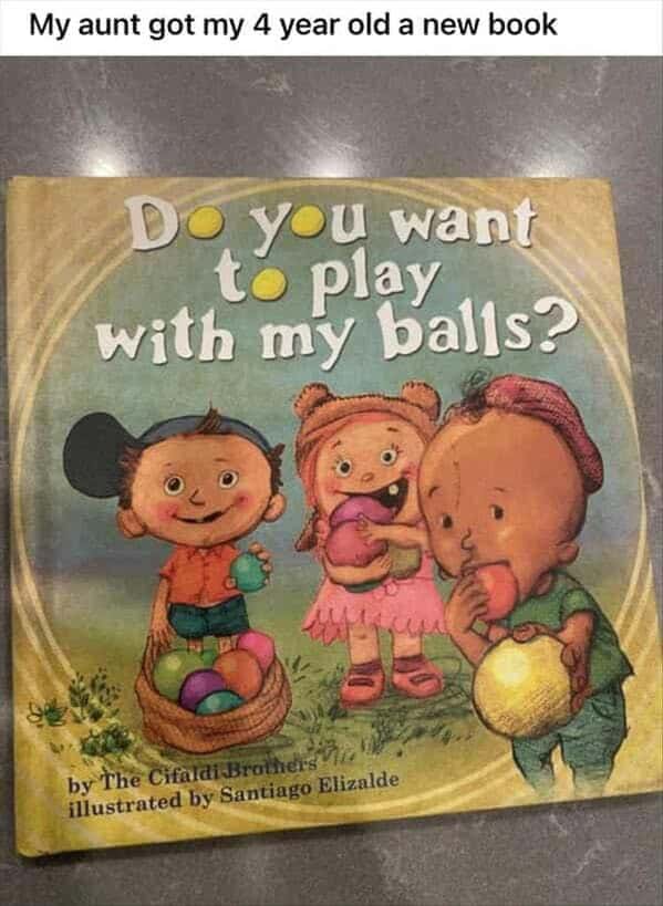My aunt got my 4 year old a new book Do you want to play with my balls? by The Cifaldi Brothers illustrated by Santiago Elizalde