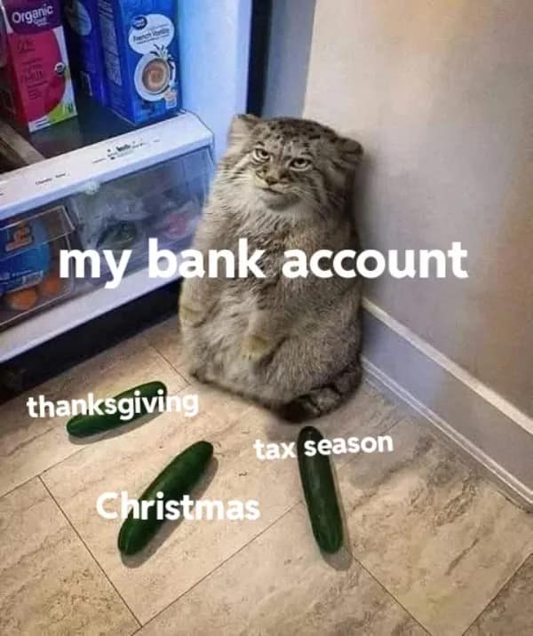 Organic my bank account thanksgiving tax season Christmas