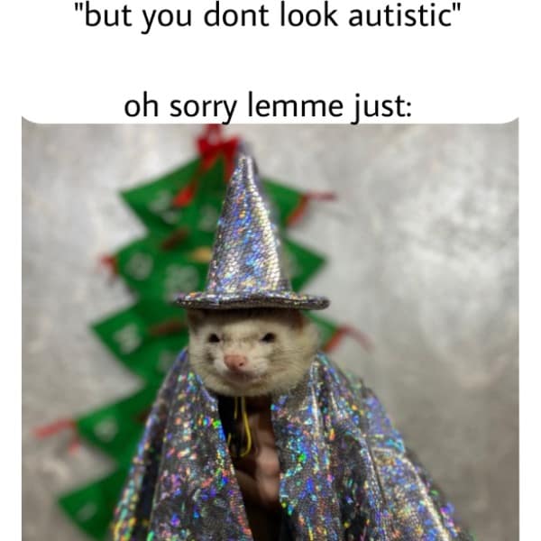 "but you dont look autistic" oh sorry lemme just: