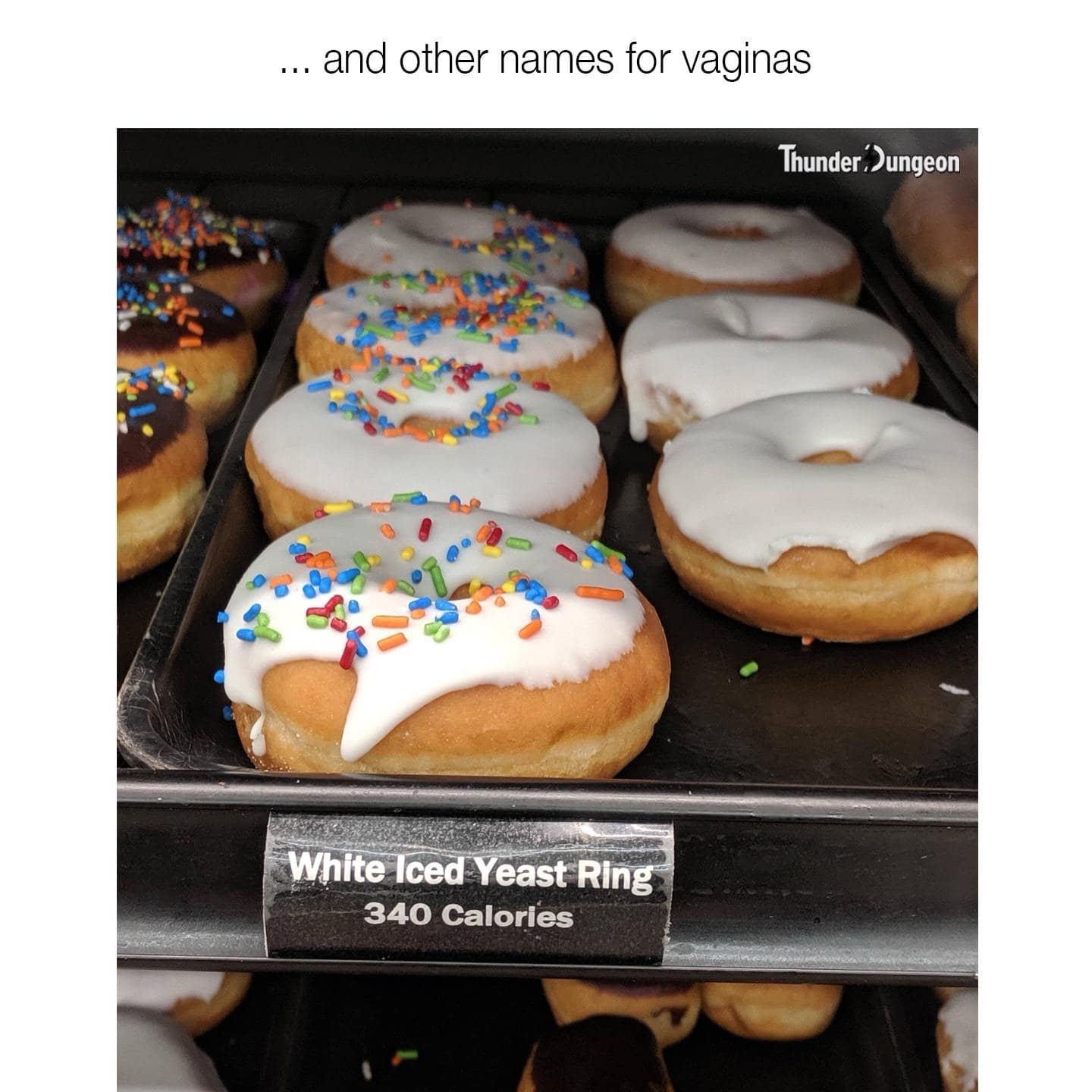... and other names for vaginas White Iced Yeast Ring