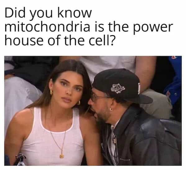 Did you know mitochondria is the power house of the cell?