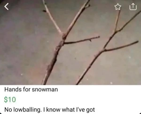 meme dump, funny memes, hilarious memes, meme roundup, meme assortment, meme compilation, amusing images, entertaining digital jokes, witty visuals, most hilarious memes, top humorous picks, standout laugh triggers, peak comedy pieces, best meme collection, prime funny stash, excellent visual humor set, quality comedic array