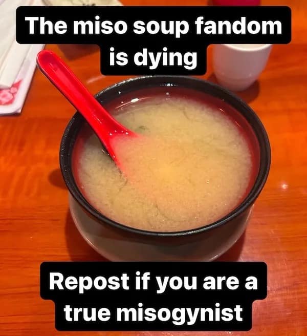 The miso soup fandom is dying Repost if you are a true misogynist