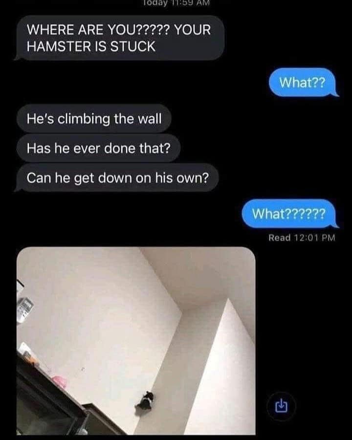 meme dump, funny memes, hilarious memes, lazy Sunday memes, humorous memes, meme collection, laughter repository, chuckle compilation, meme extravaganza