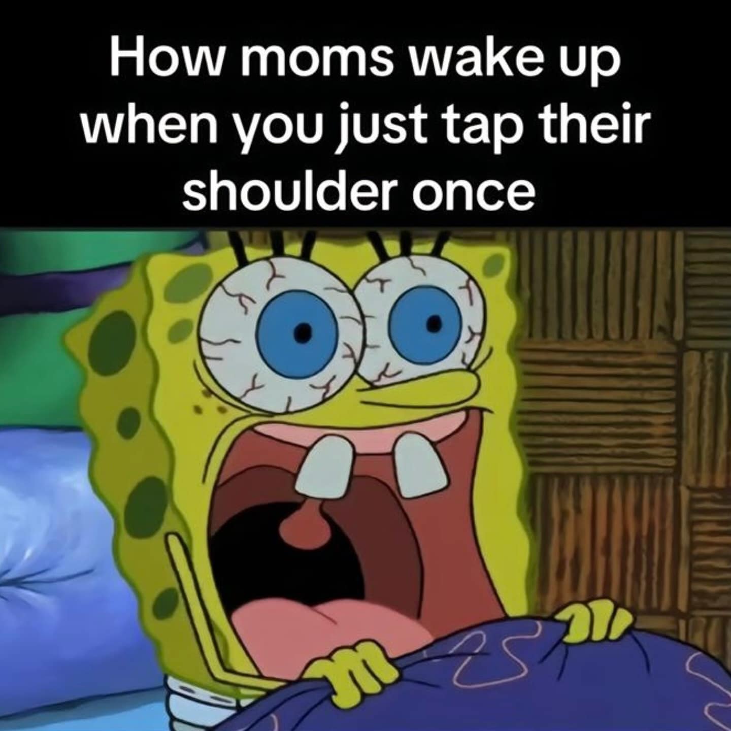 meme dump, funny memes, hilarious memes, meme roundup, meme compilation, meme gallery, amusing memes, witty image jokes, entertaining humor pics, uproarious memes, side-splitting humor, laugh-inducing images, internet memes, online humor, web memes, digital joke pictures
