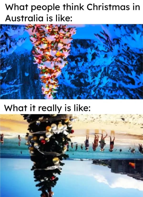meme dump, funny memes, hilarious memes, meme roundup, meme assortment, meme compilation, amusing images, entertaining digital jokes, witty visuals, most hilarious memes, top humorous picks, standout laugh triggers, peak comedy pieces, best meme collection, prime funny stash, excellent visual humor set, quality comedic array
