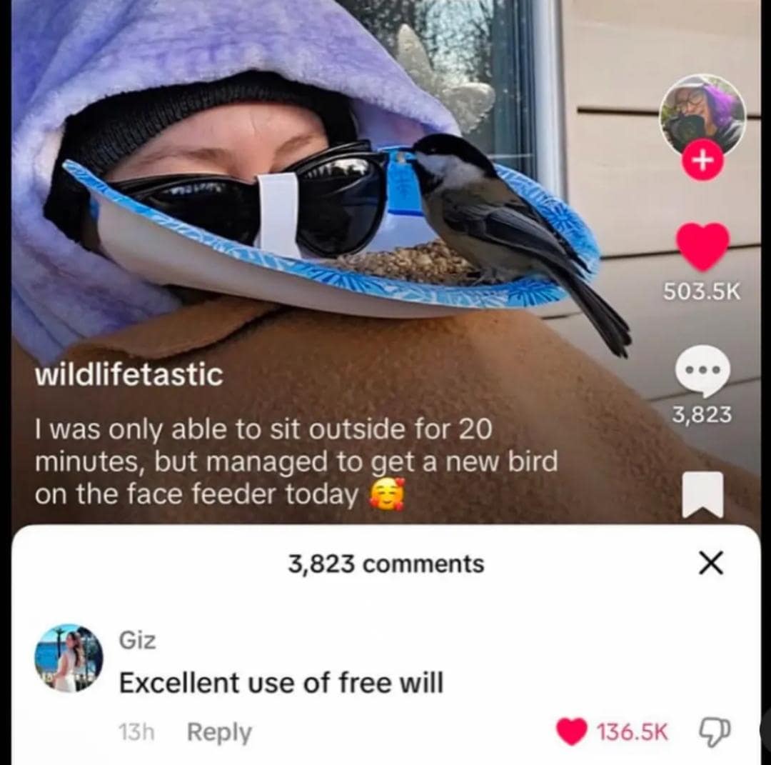 meme dump, funny memes, hilarious memes, meme roundup, meme compilation, meme assortment, amusing visuals, clever pictorial humor, witty image posts, most hilarious memes, top laughable picks, peak comedic pieces, standout funny items, best meme collection, prime curated set, quality humor batch, top-tier jesting lineup