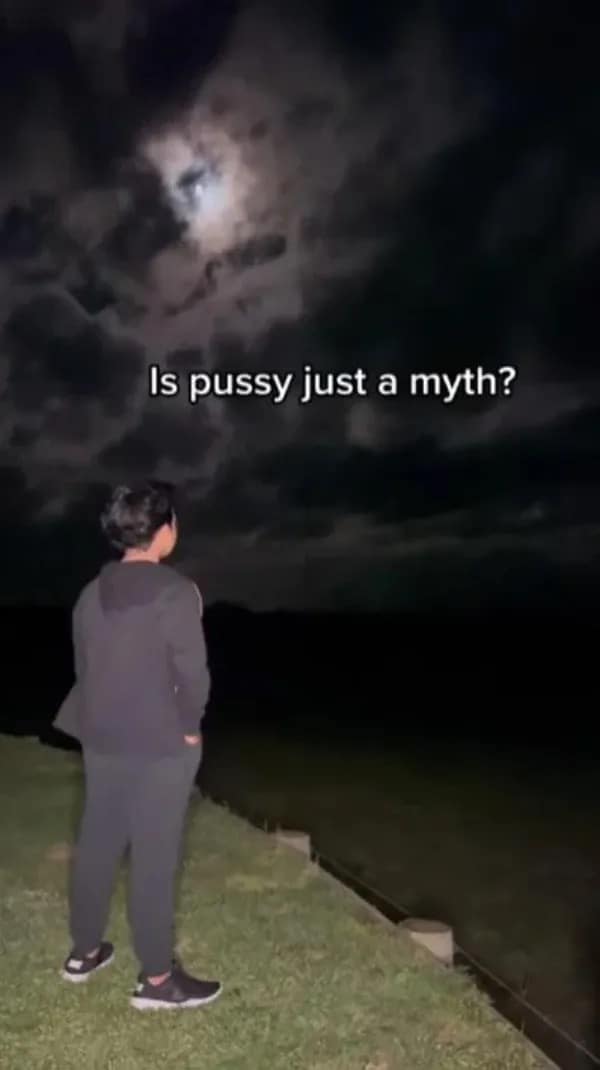 meme dump, funny memes, hilarious memes, lunch break memes, daily laughs, internet comedy, humor compilation, meme buffet, comedy roundup