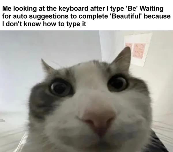 meme dump, funny memes, hilarious memes, lunch break memes, daily laughs, internet comedy, humor compilation, meme buffet, comedy roundup