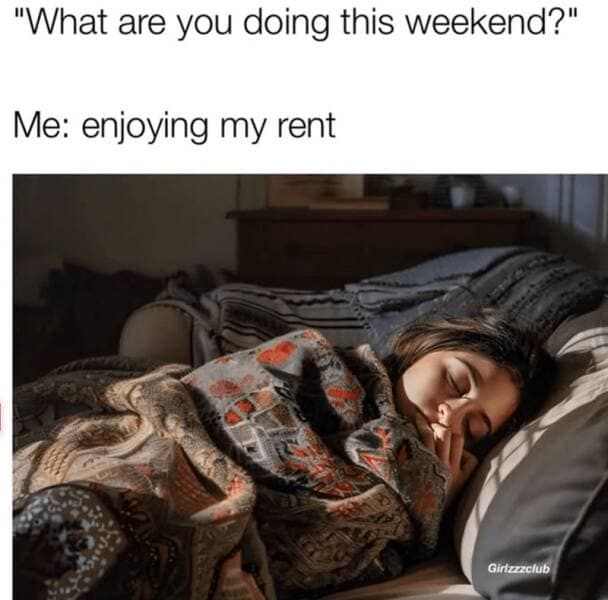 meme dump, funny memes, hilarious memes, lunch break memes, daily laughs, internet comedy, humor compilation, meme buffet, comedy roundup