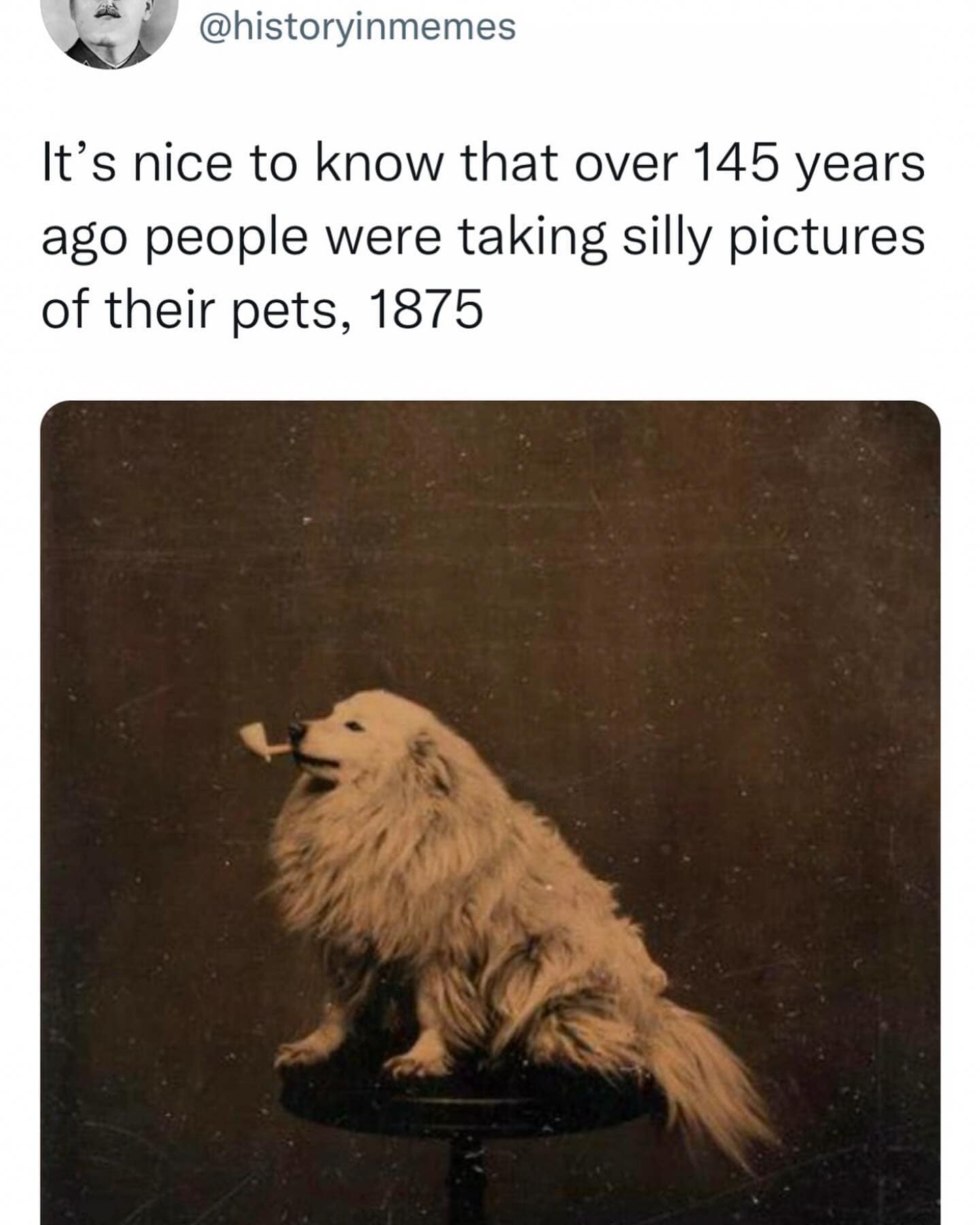 meme dump, funny memes, hilarious memes, meme roundup, meme compilation, meme gallery, amusing memes, witty image jokes, entertaining humor pics, uproarious memes, side-splitting humor, laugh-inducing images, internet memes, online humor, web memes, digital joke pictures