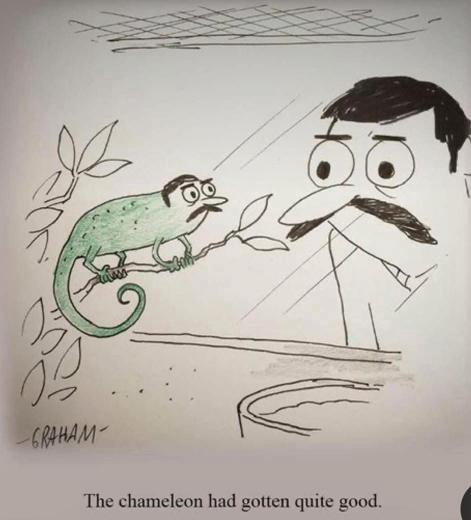 meme dump, funny memes, hilarious memes, meme roundup, meme compilation, meme gallery, amusing memes, witty image jokes, entertaining humor pics, uproarious memes, side-splitting humor, laugh-inducing images, internet memes, online humor, web memes, digital joke pictures
