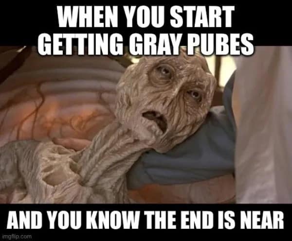 meme dump, funny memes, hilarious memes, meme roundup, meme assortment, meme compilation, amusing images, entertaining digital jokes, witty visuals, most hilarious memes, top humorous picks, standout laugh triggers, peak comedy pieces, best meme collection, prime funny stash, excellent visual humor set, quality comedic array