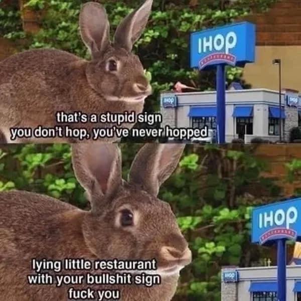 meme collection, meme compilation, meme roundup, humorous memes, amusing memes, comical memes, Best memes, top memes, greatest memes, popular memes, laugh-out-loud memes, side-splitting memes, uproarious memes