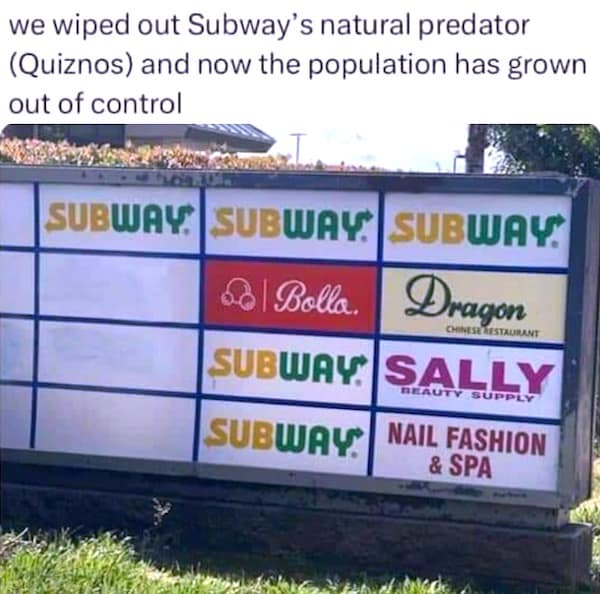 meme dump, funny memes, hilarious memes, meme roundup, meme compilation, meme assortment, amusing visuals, clever pictorial humor, witty image posts, most hilarious memes, top laughable picks, peak comedic pieces, standout funny items, best meme collection, prime curated set, quality humor batch, top-tier jesting lineup